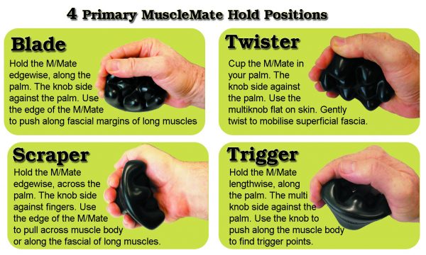 Muscle Mate 24 Pack - Image 5
